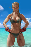 STREET FIGHTER SWIMSUIT SPECIAL IVAN TALAVERA CAMMYVARIANT 2022 #1